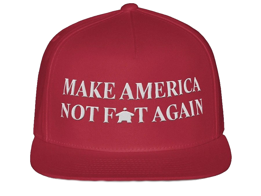 Make America Not Fat Again Hat
